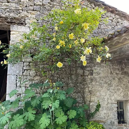 Les 3 Toitures Ecogite Le Luquet Beauzeil 82 Country house Saint-Beauzeil